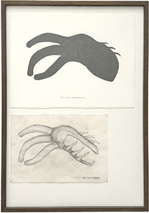 Hanspeter Keller, Projekt SMSS J031300, Halicopus grypohorerus. Photo courtesy of the artist