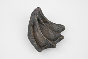 Una Szeemann, Hypnagogia Objects. Detail. Photo: Kai Erdmann, Berlin 2025